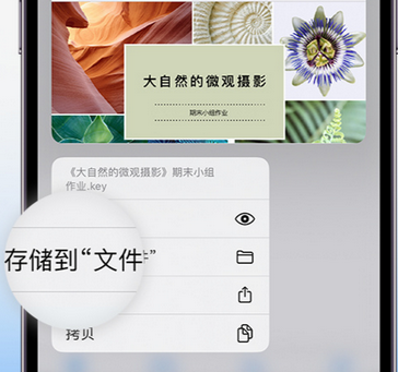 类乌齐apple维修中心分享iPhone文件应用中存储和找到下载文件