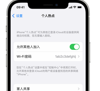 类乌齐apple服务站点分享iPhone上个人热点丢失了怎么办 