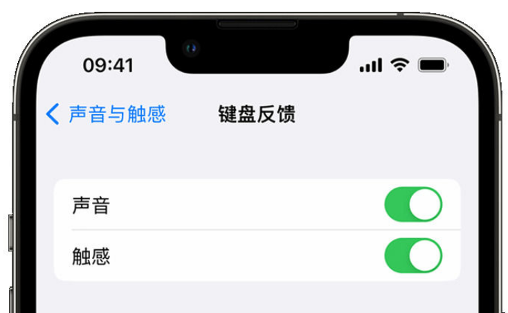 类乌齐苹果手机维修分享iPhone 14触感键盘使用方法 