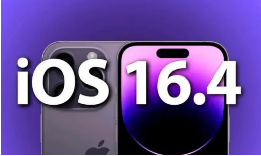 类乌齐苹果14维修分享：iPhone14可以升级iOS16.4beta2吗？ 