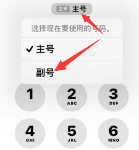 类乌齐苹果14维修店分享iPhone 14 Pro Max使用副卡打电话的方法 