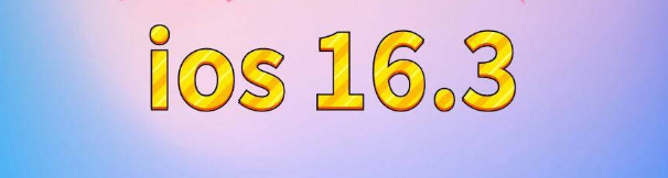 类乌齐苹果服务网点分享苹果iOS16.3升级反馈汇总 