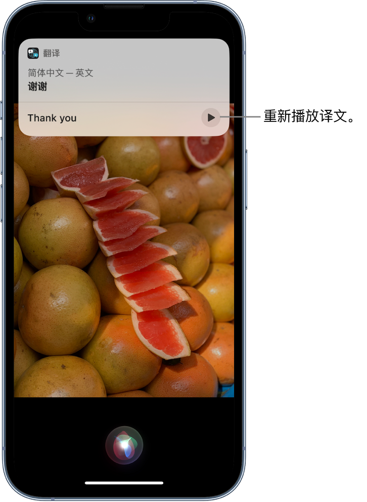 类乌齐苹果14维修分享 iPhone 14 机型中使用 Siri：了解 Siri 能帮你做什么 