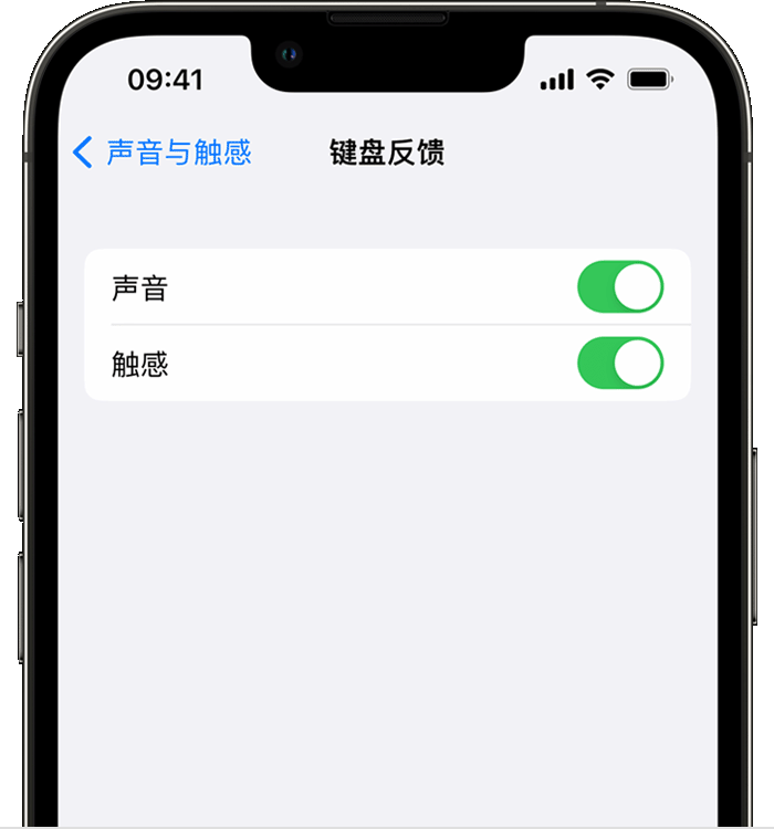 类乌齐苹果14维修分享iPhone 14 系列机型如何开启键盘声音或触感反馈 