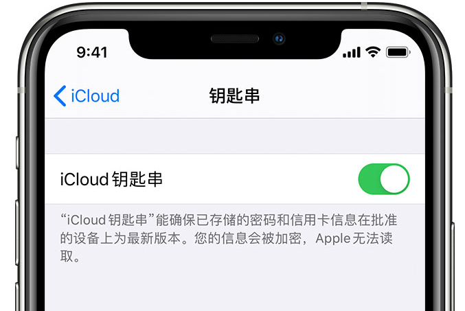 类乌齐苹果手机维修分享在 iPhone 上开启 iCloud 钥匙串之后会储存哪些信息 