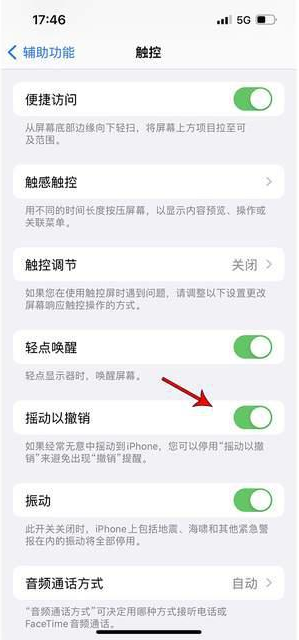 类乌齐苹果手机维修分享iPhone手机如何设置摇一摇删除文字 