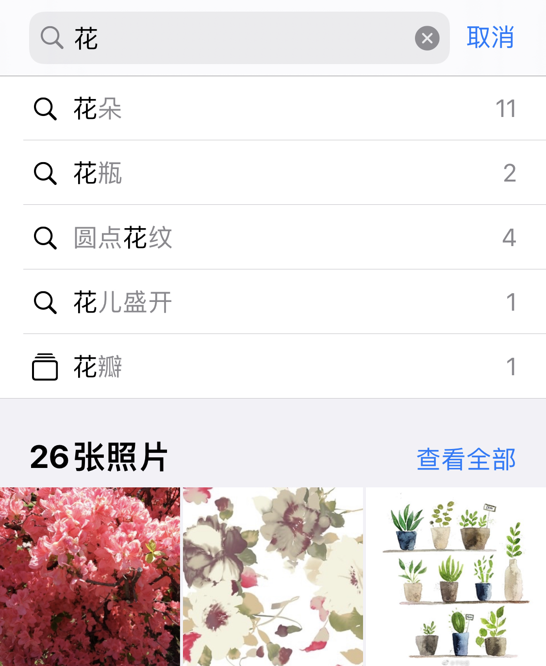 类乌齐苹果手机维修分享iPhone 小技巧 