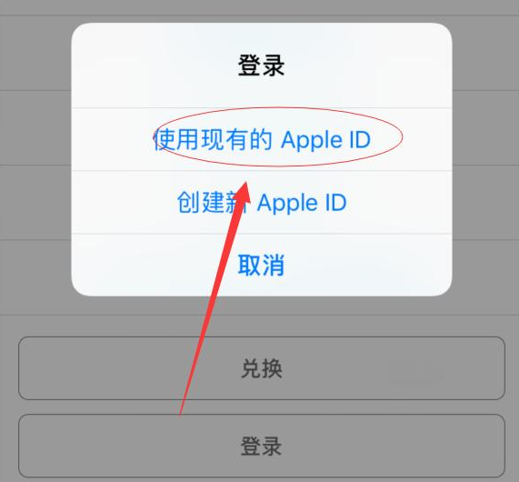 类乌齐苹果手机维修分享两台iPhone设备可以同时登录一个Apple ID吗 
